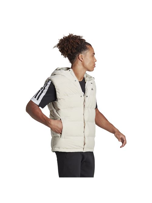  ADIDAS | HE1462.
