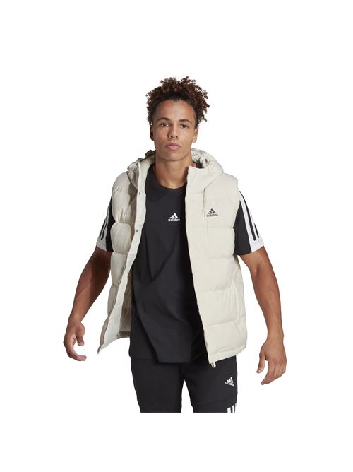  ADIDAS | HE1462.