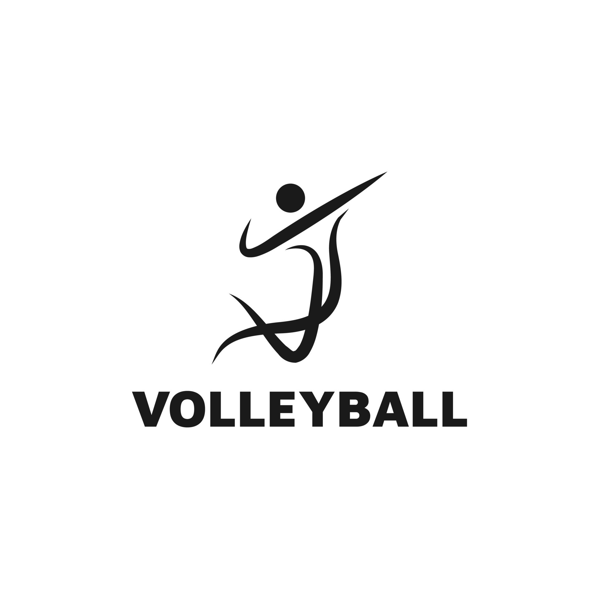VOLLEYBALL